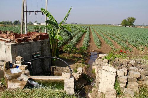 Agriculture sector not responsible for discoms’ health, declining groundwater: study