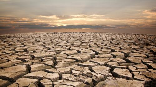 Drought Drought