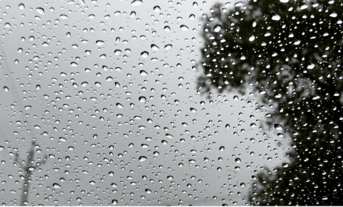 Rain Rain
