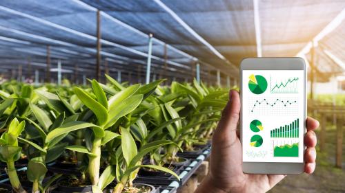 Smart agriculture Smart agriculture