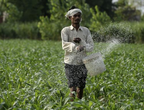 Around half the world’s population depends on nitrogen fertilisers for food consumption. Credits: Vikas Choudhary Around half the world’s population depends on nitrogen fertilisers for food consumption. Credits: Vikas Choudhary