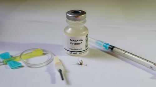 malaria malaria