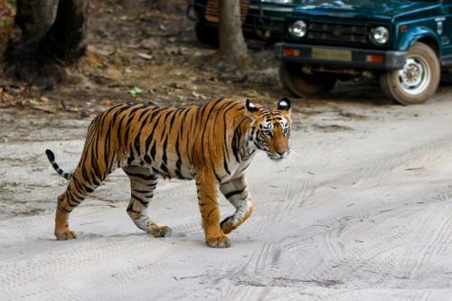 India Eco Watch: Major ecological happenings of April 