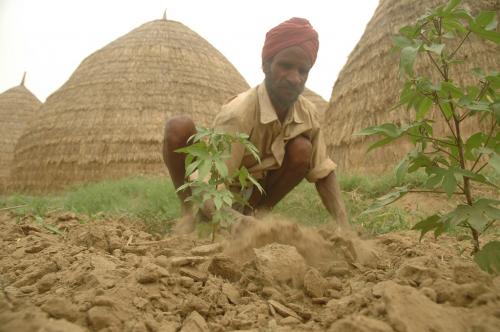 आर्थिक सर्वेक्षण 2020: किसानों की कर्ज माफी रोकने के लिए कानून बनाए सरकार