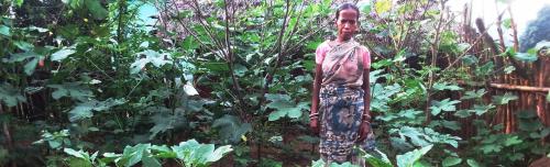 World Health Day 2020: How nutrition gardens helped tribals in Odisha's Nagada