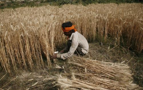 लॉकडाउन में फंसे प्रवासी मजदूरों से फसल कटवाएगी यह सरकार