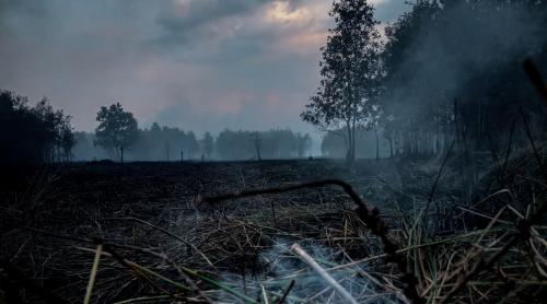 Sustainable peatland management can prevent future pandemics: Study