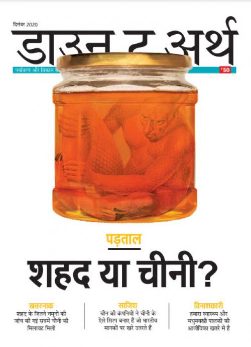 डाउन टू अर्थ