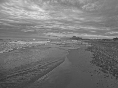 Shift towards sustainable fisheries in Mediterranean, Black Sea region: Report