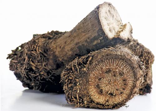 The fiery flavours of stem pepper