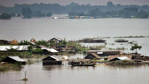 Assam Elections 2021: Are the poll promises made to protect Assam's environment viable?