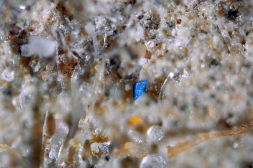 दुनिया भर में हवा के जरिए फैल चुका है माइक्रोप्लास्टिक, स्वास्थ्य और पर्यावरण के लिए है खतरा