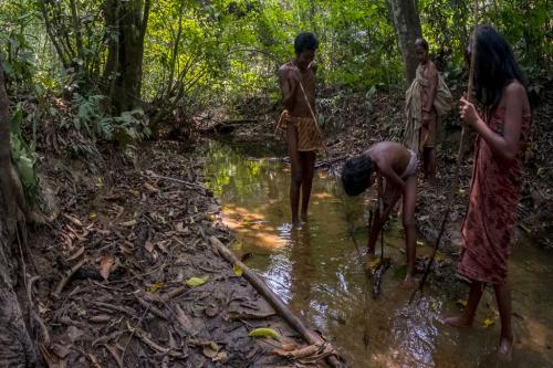 धरती का केवल 2.8 फीसदी हिस्सा ही रह गया है अनछुआ, पिछले अनुमान से 10 गुना है कम