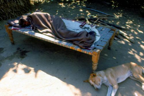 विश्व मलेरिया दिवस : नेपाल-भूटान समेत 25 देशों को मलेरिया मुक्त करने के लिए डब्लूएचओ ने शुरु की नई पहल