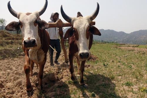 जलवायु परिवर्तन के चलते भारत में जीडीपी को हो सकता है 35.1 फीसदी तक का नुकसान 