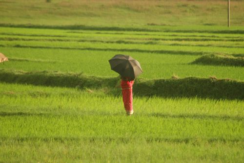जापान के इस शहर में जब भू-जल निकासी करने वाले किसान ही बन गए सबसे बड़े जल संरक्षक