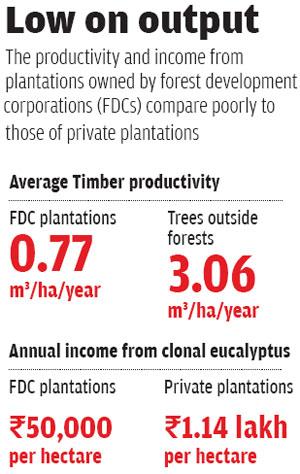 Source: 'The puzzle of forest productivity' by CSE