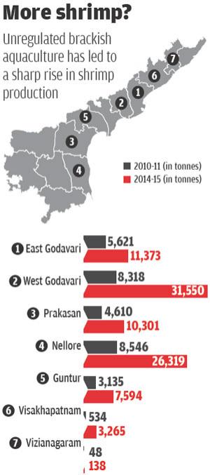 Source: Department of Fisheries, Andhra Pradesh Source: Department of Fisheries, Andhra Pradesh