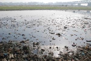 The Central Pollution Control Board in 2018 identified 351 polluted river stretches in India; Maharashtra has the highest number of polluted rivers at 53. Photo: Flickr