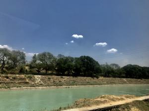 Sutlej river pollution: Millions on verge of health risks, NGT raises alarm . Photo: Wikimedia Commons