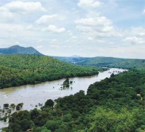 How the Centre's water management boards can spell doom for Andhra Pradesh, Telegana