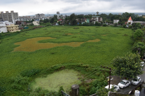 What is killing Uttarakhand's small wetlands? Dehradun's Niranjanpur pond carves a live example. Photo: Eva Badola