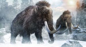 No, woolly mammoths are not returning; But we may get Arctic elephants