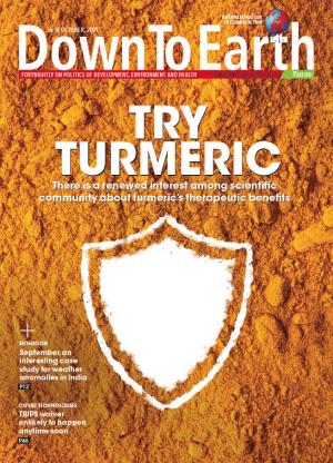 TRY TURMERIC