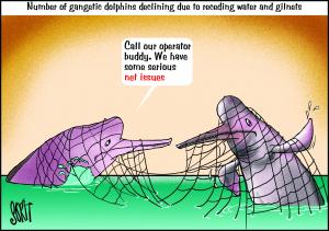 Dolphins in a net cartoon: Sorit Gupto