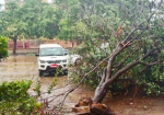 फोनी से ओडिशा में भारी नुकसान, सामान्य नहीं हो पाया जनजीवन 