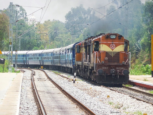 Since railways fall outside the purview of the EIA, public interest litigations are rejected in the court of law
Credit: Belur Ashok/Flickr Since railways fall outside the purview of the EIA, public interest litigations are rejected in the court of law
Credit: Belur Ashok/Flickr
